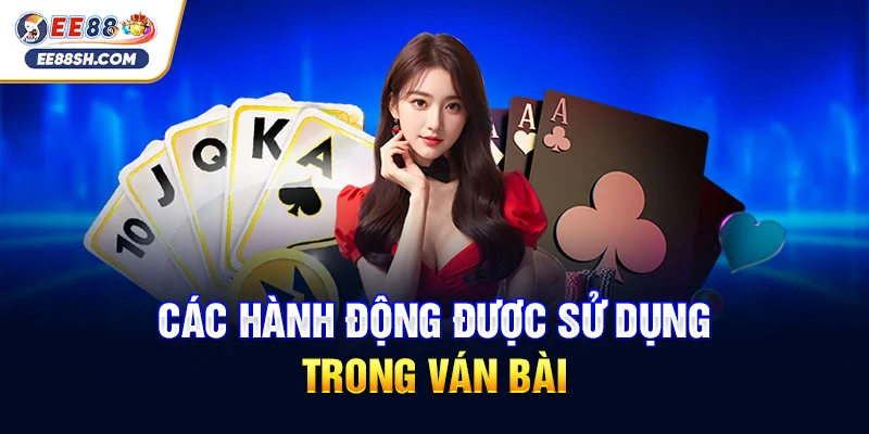 Hướng Dẫn Chơi Poker Cơ Bản Hiệu Quả Cho Người Mới Bắt Đầu 3 Các hành động được sử dụng trong ván bài